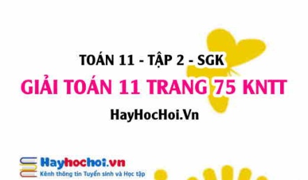 Giải Toán 11 trang 75 tập 2 Kết nối tri thức